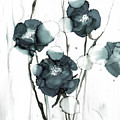 Grey Poppies by Julie Tibus