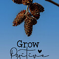 Grow Positive Thoughts by Cathy Kovarik