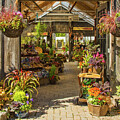 Guelph Garden Centre by Marilyn Cornwell