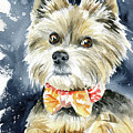Guido Yorkshire Terrier Dog Painting Painting by Dora Hathazi Mendes Guido Yorkshire Terrier Dog Painting Painting by Dora Hathazi Mendes