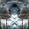 Gull It by Steven Murphy