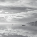 Gulls and Reflection Black and White Photograph by Allan Van Gasbeck Gulls and Reflection Black and White Photograph by Allan Van Gasbeck
