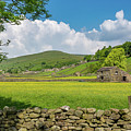 Gunnerside Meadows, Swaledale Photograph by Tom Holmes Photography Gunnerside Meadows, Swaledale Photograph by Tom Holmes Photography