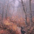 Halloween Cat Lady by Tom Shropshire