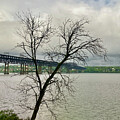Hamilton Fish Newburgh Beacon Bridge by Kristin Hatt