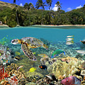 Hanauma Bay Photograph by Artesub Hanauma Bay Photograph by Artesub