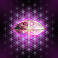 Handpan and flower of life Digital Art by Alexa Szlavics Handpan and flower of life Digital Art by Alexa Szlavics