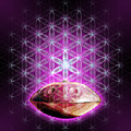 Handpan flower of life Digital Art by Alexa Szlavics Handpan flower of life Digital Art by Alexa Szlavics