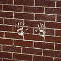 Hands On Photograph by Cathy Kovarik Hands On Photograph by Cathy Kovarik