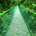 Hanging Bridge in Cloud Forest in Monte Verde Costa Rica Photograph by Leslie Struxness Hanging Bridge in Cloud Forest in Monte Verde Costa Rica Photograph by Leslie Struxness