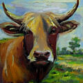 Hanwoo cattle by Christina Fairhead Art and Merch