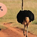 Happy Fathers Day Ostrich Family Mixed Media by Nancy Ayanna Wyatt Happy Fathers Day Ostrich Family Mixed Media by Nancy Ayanna Wyatt