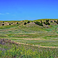 Happy Trails Photograph by Jon Burch Photography