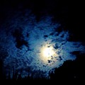Harvest Moon in the Clouds Photograph by Christopher Reed Harvest Moon in the Clouds Photograph by Christopher Reed