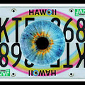 Hawaii Rainbow Eye Print - Recycled Hawaii License Plate Art by Steven Shaver