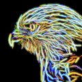 Hawk 3 Digital Art by Ludwig Keck Hawk 3 Digital Art by Ludwig Keck