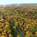 Hawthorne Parkway in the Fall by Brad Nellis