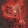 Heart by Brian Shoemaker