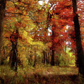 Heart Of Autumn by Cedric Hampton Heart Of Autumn by Cedric Hampton