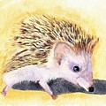 Hedgehog Painting by Vicki B Littell Hedgehog Painting by Vicki B Littell