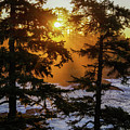 Here comes the sun Photograph by Stephen Sloan Here comes the sun Photograph by Stephen Sloan