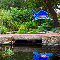 Here Fishie, Fishie by Tanya White