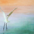 Heron Landing Painting by Tracy Hutchinson Heron Landing Painting by Tracy Hutchinson
