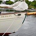 Heron by Steve Brown
