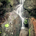 Hidden Cascade by Gary Geddes