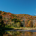 Hidden Pond Photograph by Cathy Kovarik Hidden Pond Photograph by Cathy Kovarik