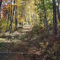 Hidden Trail by Chris Naggy Hidden Trail by Chris Naggy