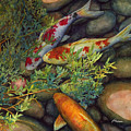 Hidden Treasure - Kohaku and Orange Koi Painting by Hailey E Herrera Hidden Treasure - Kohaku and Orange Koi Painting by Hailey E Herrera