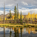 High Mountain Meadow, Colorado by JBK Photo Art