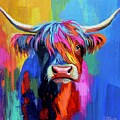 Highland Cow in Colour by Caroline Swan