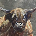 Highland Cow by Lisa Burlinson