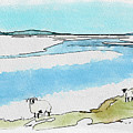 Highland Sheep Digital Art by John Mckenzie Highland Sheep Digital Art by John Mckenzie