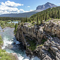 Hiking Swiftcurrent Creek by Robert Carter