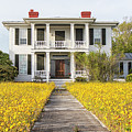 HIstoric Home With Yard of Wildflowers - Beaufort North Carolina Photograph by Bob Decker HIstoric Home With Yard of Wildflowers - Beaufort North Carolina Photograph by Bob Decker