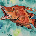 Hog fish by Diane Ziemski