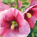 Hollyhock Painting by Espero Art Hollyhock Painting by Espero Art