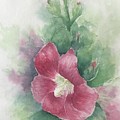 Hollyhocks Painting by Milly Tseng Hollyhocks Painting by Milly Tseng
