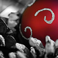 Home for the Holidays Photograph by Doug Sturgess Home for the Holidays Photograph by Doug Sturgess