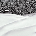 Home Warm Home Photograph by Tatiana Bogracheva Home Warm Home Photograph by Tatiana Bogracheva