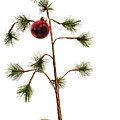 Hopeful Christmas Tree Digital Art by Brad Barton Hopeful Christmas Tree Digital Art by Brad Barton