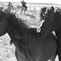 Horse Style Photograph by Melissa Southern Horse Style Photograph by Melissa Southern