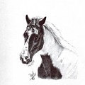 Horse by Terri Mills