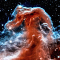Horsehead Nebula in High Resolution by M G Whittingham