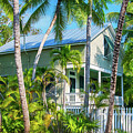 House and palm trees in Key West, Florida by Delphimages Photo Creations