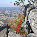 House Mountain 16 Photograph by Phil Perkins House Mountain 16 Photograph by Phil Perkins