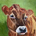 How Now Brown Cow by Lisa Burlinson